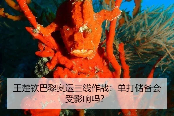 王楚钦巴黎奥运三线作战：单打储备会受影响吗？